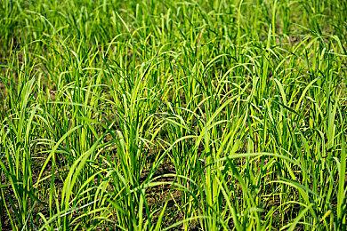 《漫威蜘蛛侠2》成为失眠组迄今为止最受好评的游戏