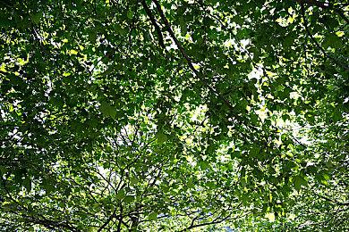 《极限竞速：Motorsport》主机与PC平台效果对比